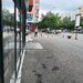 Bucuresti, Calea Mosilor.